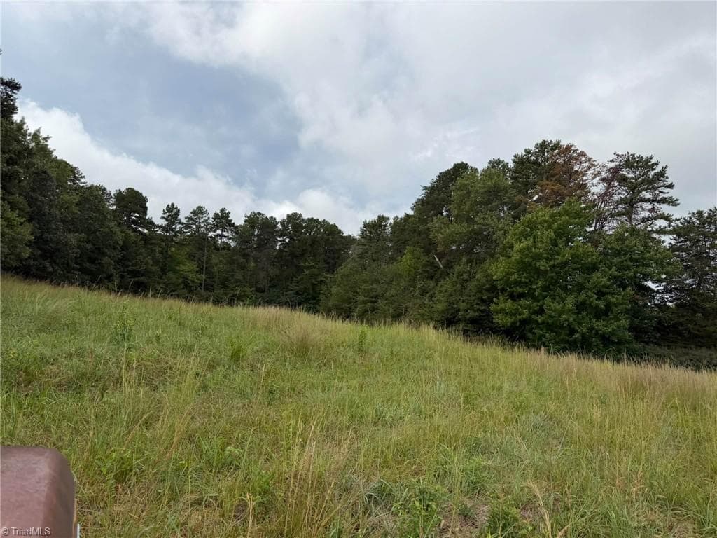 Single Family Residence at 6700 Lot 2+/- Acres Doral Drive, Tobaccoville NC 27050, Tobaccoville, photo 3 of 12