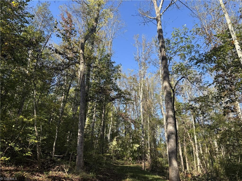 Unimproved Land at 000 Quaker Road, Mount Airy NC 27030, photo 3 of 5