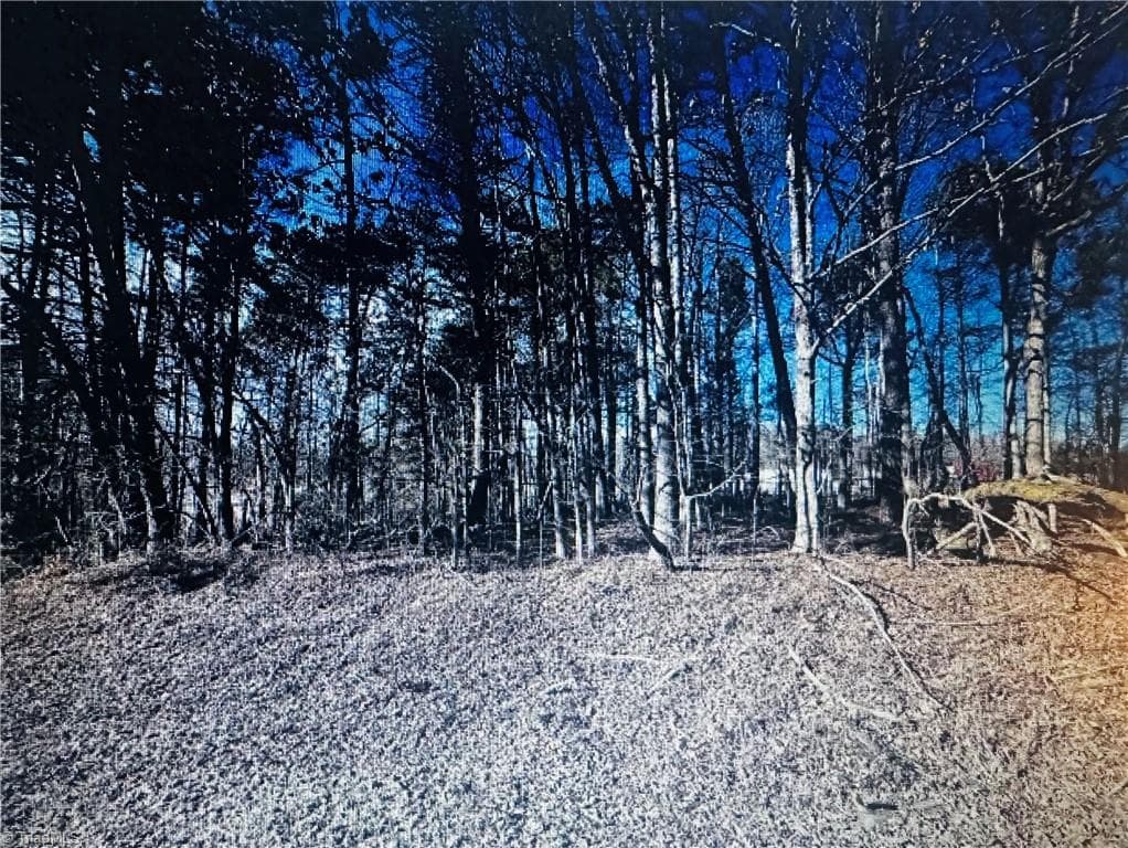Commercial at 3605 Ten Road, Efland NC 27243, Efland, photo 6 of 6