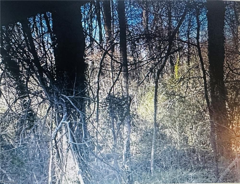 Commercial at 3605 Ten Road, Efland NC 27243, Efland, photo 4 of 6