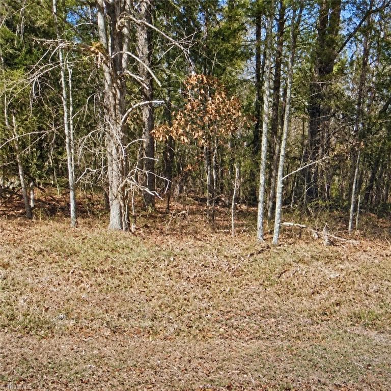 Lt 11 lynn smith Road, Semora NC 27343
