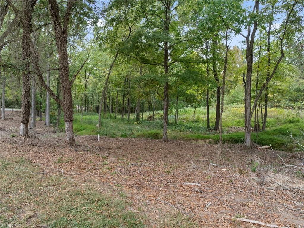 Stick/Site Built at 316 W 2nd Street, Denton NC 27239, photo 29 of 34