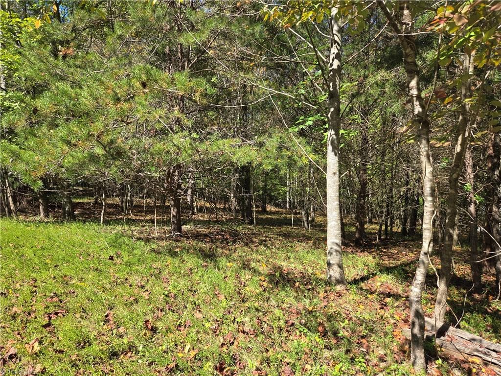 Single Family Residence at 1021 Sweetbriar Lane, Hamptonville NC 27020, Hamptonville, photo 6 of 13