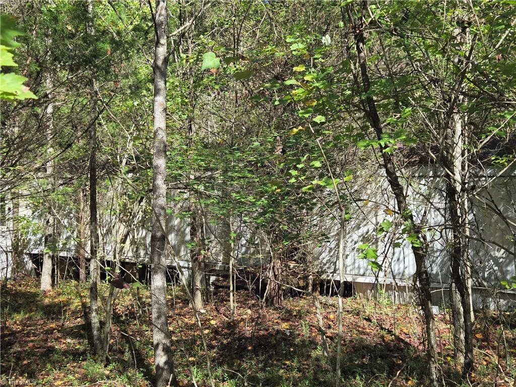 Single Family Residence at 1021 Sweetbriar Lane, Hamptonville NC 27020, Hamptonville, photo 3 of 13