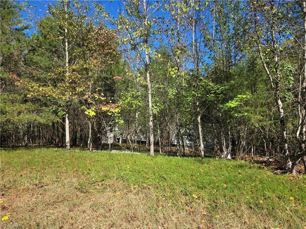 Single Family Residence at 1021 Sweetbriar Lane, Hamptonville NC 27020, Hamptonville, photo 5 of 13