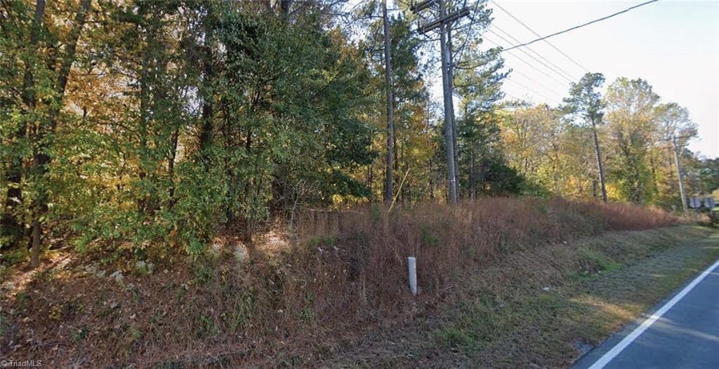 Retail at 0 Jimmie Kerr Road, Haw River NC 27258, photo 13 of 14