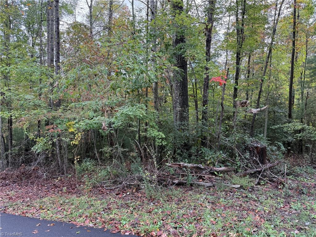 0 Kizer Street, Mount Airy NC 27030