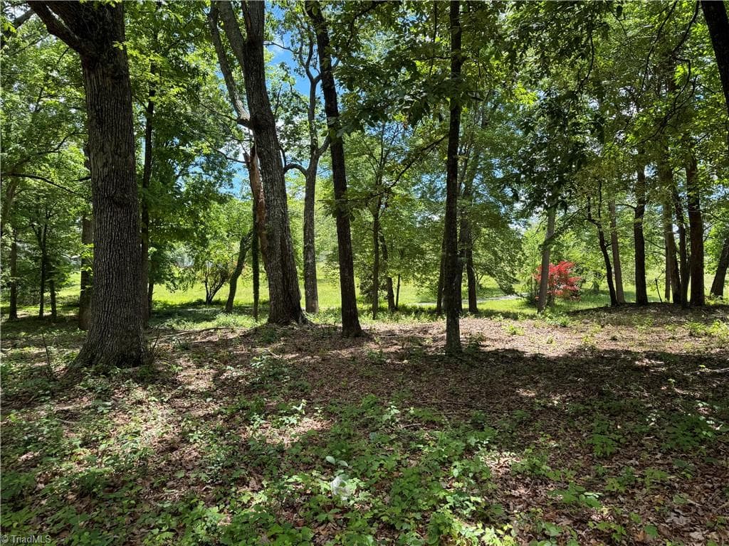 Single Family Residence at 000 Barlow Court, King NC 27021, King, photo 12 of 47