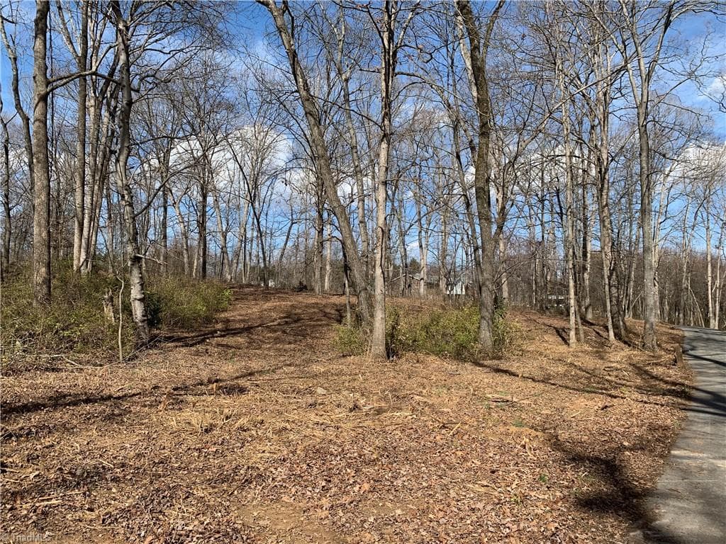 Single Family Residence at 000 Barlow Court, King NC 27021, King, photo 33 of 47