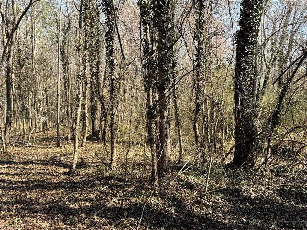 Stick/Site Built at 000 Barlow Court, King NC 27021, King, photo 38 of 47