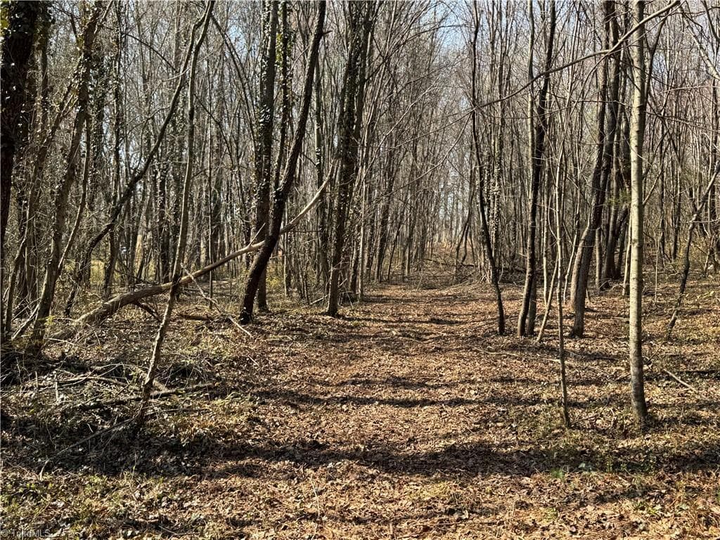 Stick/Site Built at 000 Barlow Court, King NC 27021, King, photo 39 of 47