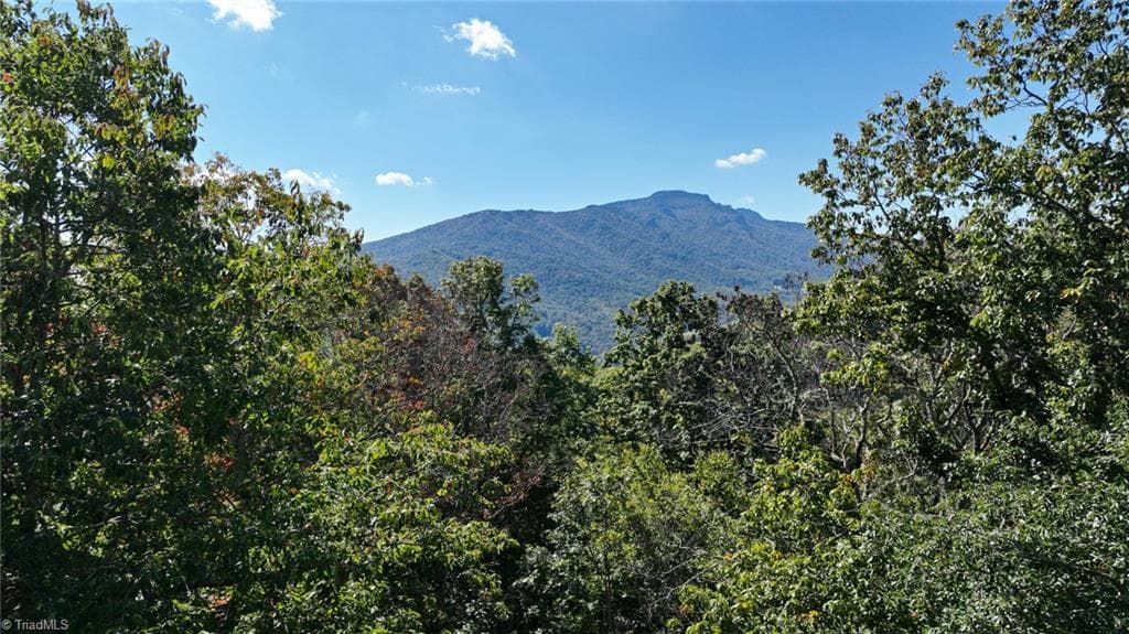 Stick/Site Built at 325 Grandview Drive, Seven Devils NC 28604, photo 31 of 32