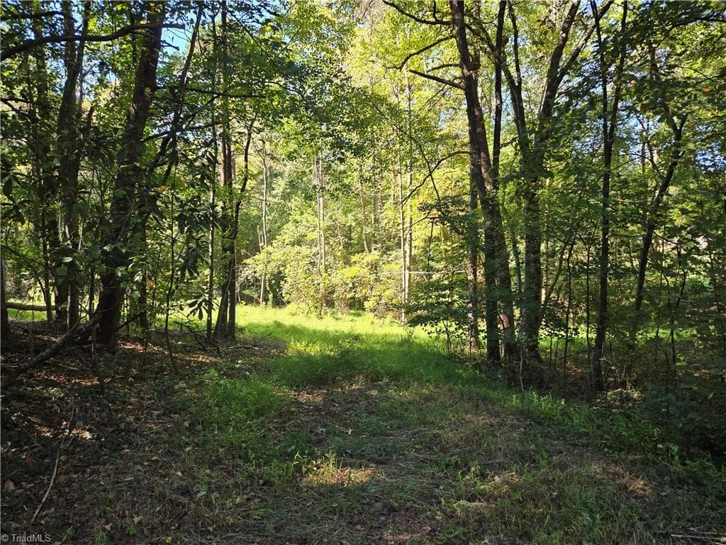 Single Family Residence at 0 Cemetery Street, East Bend NC 27018, photo 6 of 21