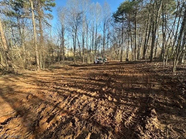Single Family Residence at 0 Cemetery Street, East Bend NC 27018, photo 13 of 21