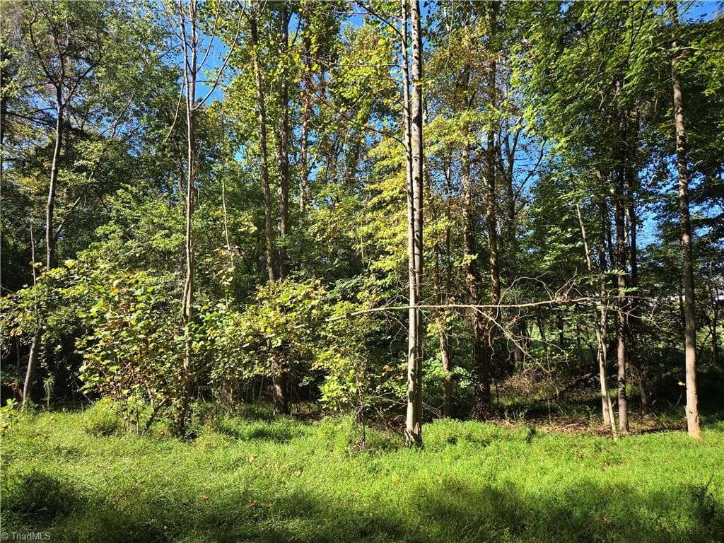 Single Family Residence at 0 Cemetery Street, East Bend NC 27018, photo 11 of 21