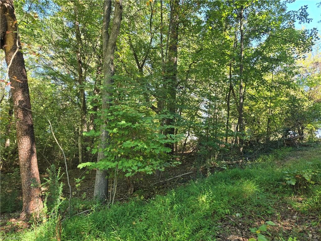 Single Family Residence at 0 Cemetery Street, East Bend NC 27018, photo 19 of 21