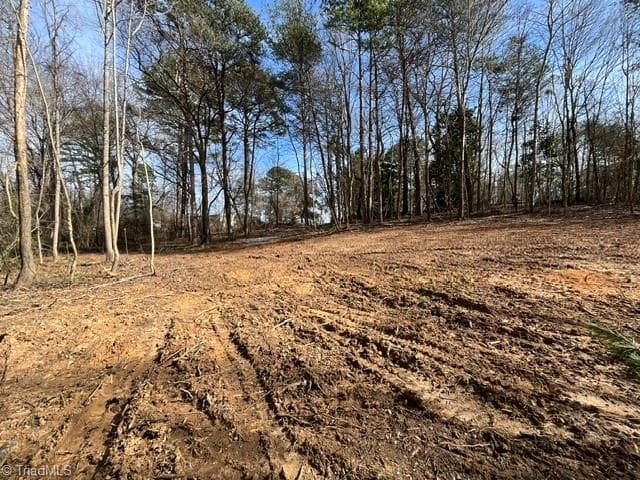 Single Family Residence at 0 Cemetery Street, East Bend NC 27018, photo 8 of 21