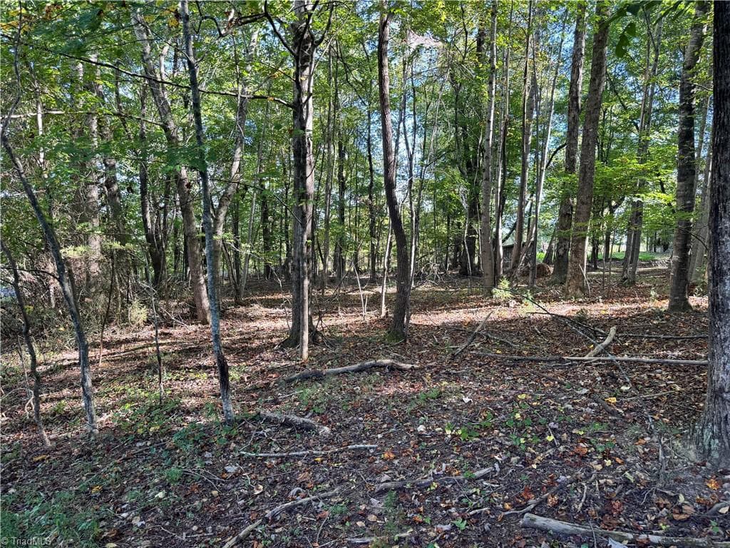 Single Family Residence at 00 One Mile Road, Traphill NC 28635, Traphill, photo 6 of 24