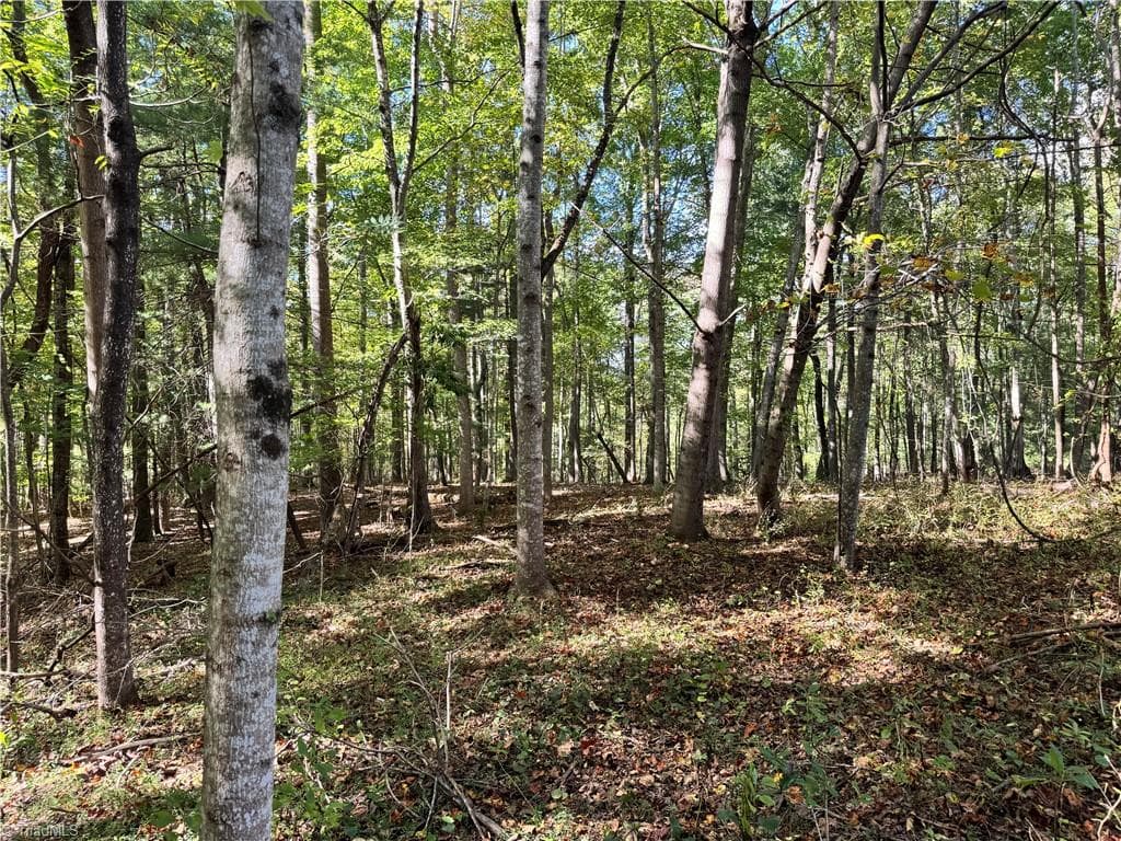 Single Family Residence at 00 One Mile Road, Traphill NC 28635, Traphill, photo 10 of 24