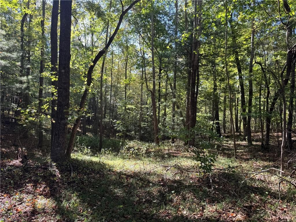 Single Family Residence at 00 One Mile Road, Traphill NC 28635, Traphill, photo 11 of 24