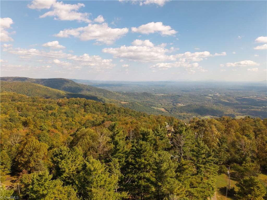 Modular at 85 Chateau Lane, Fancy Gap VA 24328, photo 12 of 48