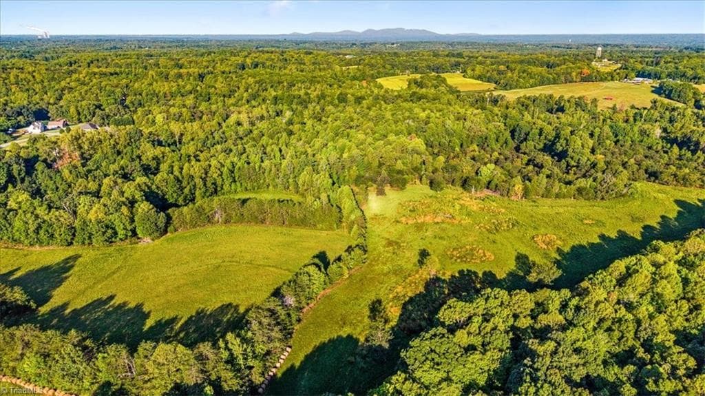 Agriculture at 0 Washburn Road, Madison NC 27025, photo 13 of 13