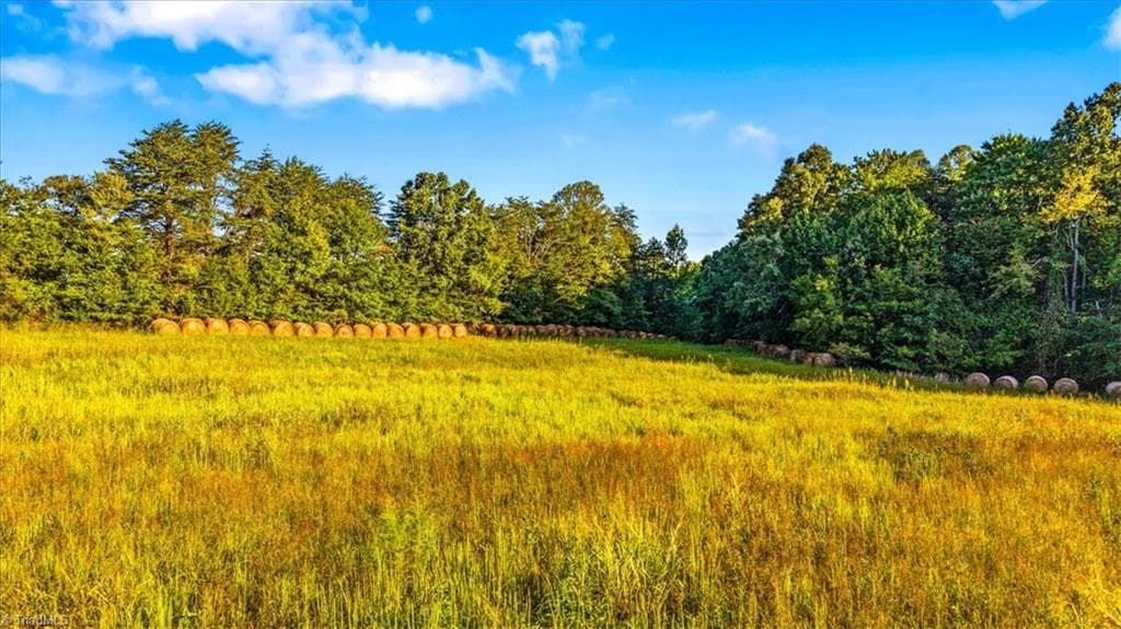 Agriculture at 0 Washburn Road, Madison NC 27025, photo 5 of 13