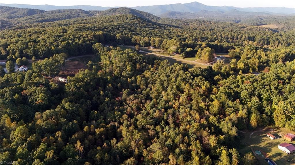 Unimproved Land at TBD Angel Fire Trail, Dobson NC 27017, photo 2 of 15