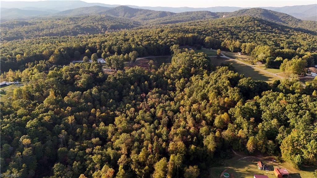 Unimproved Land at TBD Angel Fire Trail, Dobson NC 27017, photo 7 of 15