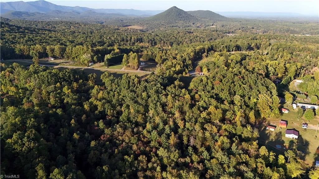 Unimproved Land at TBD Angel Fire Trail, Dobson NC 27017, photo 8 of 15