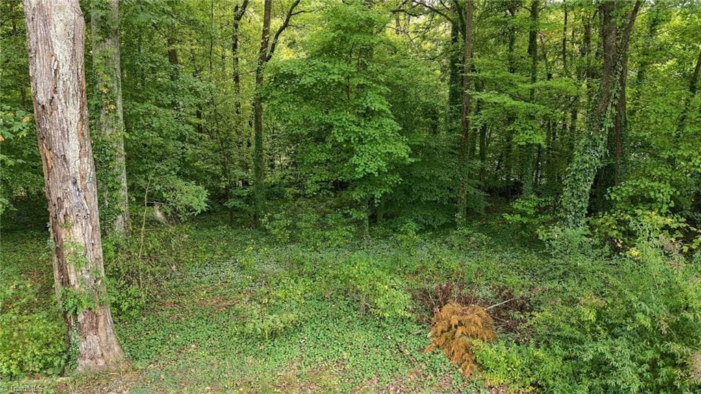 Stick/Site Built at 180 Webster Road, Rural Hall NC 27045, photo 38 of 46