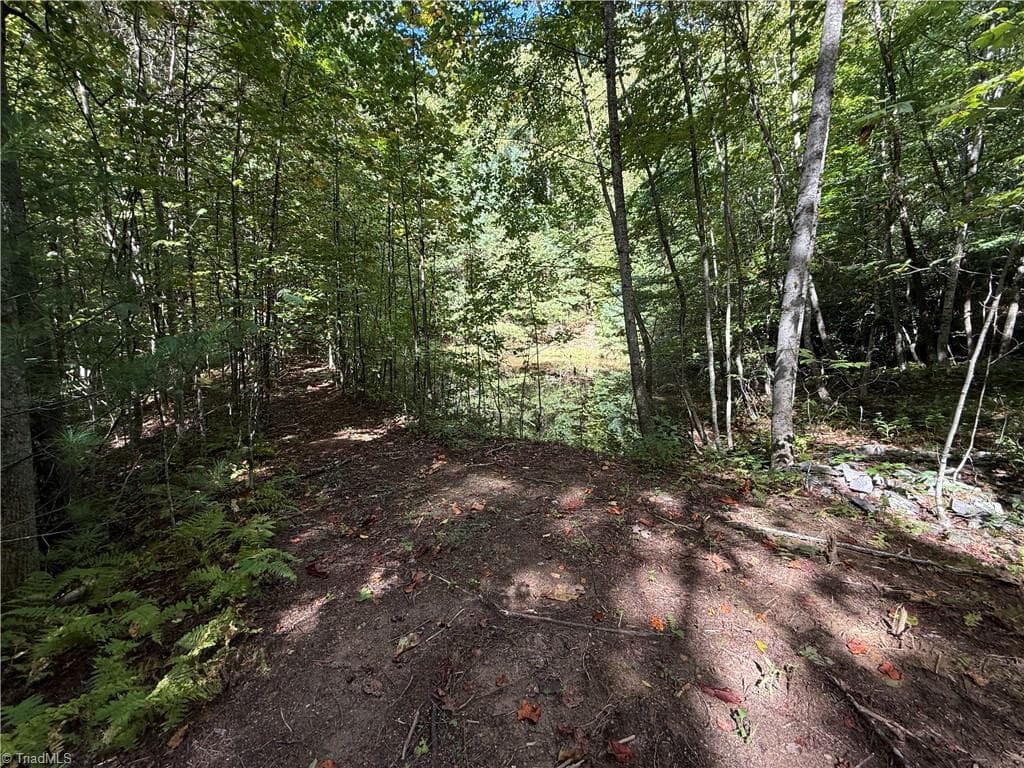 Single Family Residence at TBD Casey Mountain Road, Purlear NC 28665, Purlear, photo 6 of 22