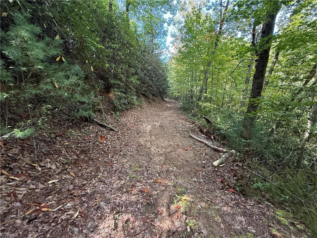 Single Family Residence at TBD Casey Mountain Road, Purlear NC 28665, Purlear, photo 13 of 22
