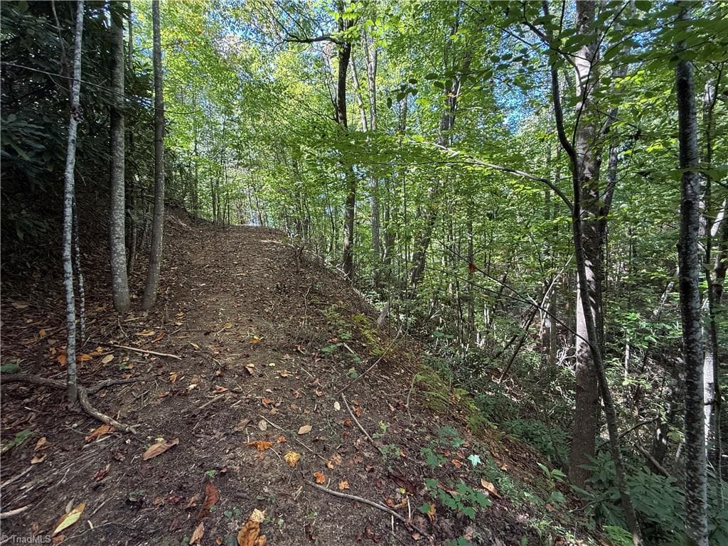 Single Family Residence at TBD Casey Mountain Road, Purlear NC 28665, Purlear, photo 17 of 22