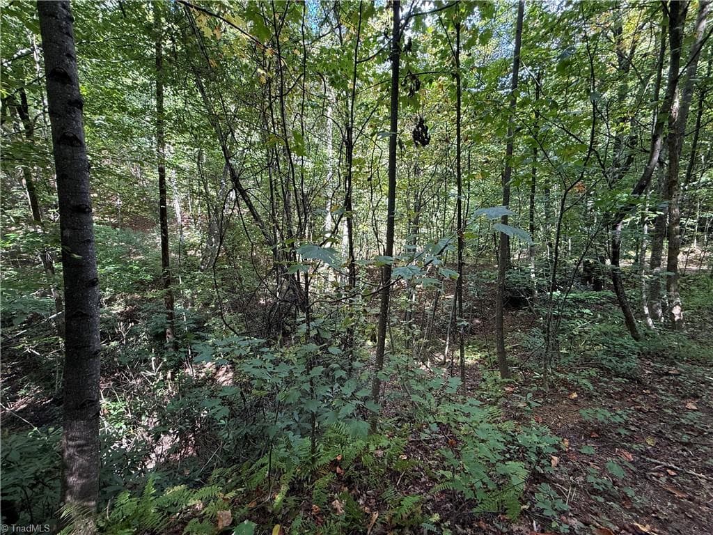 Single Family Residence at TBD Casey Mountain Road, Purlear NC 28665, Purlear, photo 16 of 22