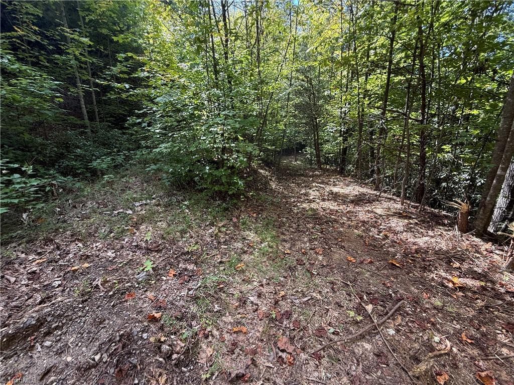 Single Family Residence at TBD Casey Mountain Road, Purlear NC 28665, Purlear, photo 12 of 22