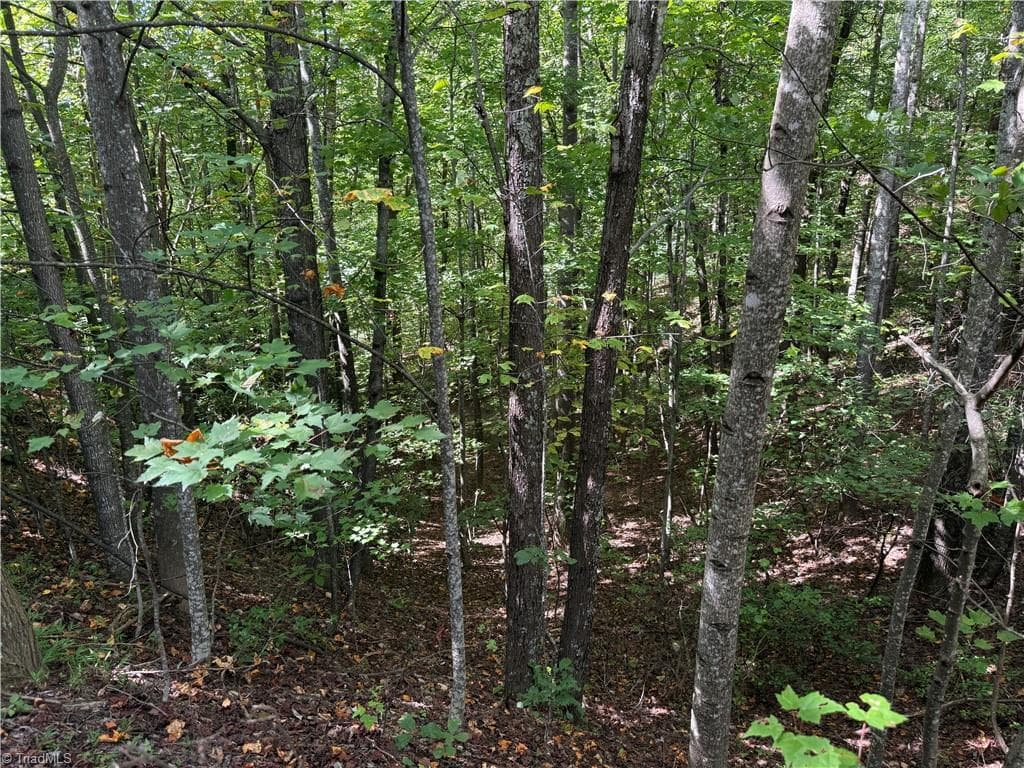 Single Family Residence at TBD Casey Mountain Road, Purlear NC 28665, Purlear, photo 7 of 22