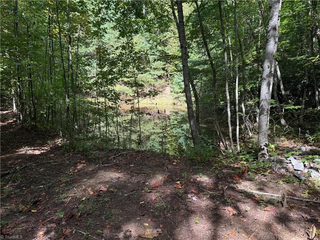 Single Family Residence at TBD Casey Mountain Road, Purlear NC 28665, Purlear, photo 3 of 22