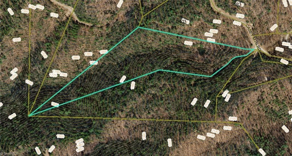 Single Family Residence at TBD Casey Mountain Road, Purlear NC 28665, Purlear, photo 5 of 22