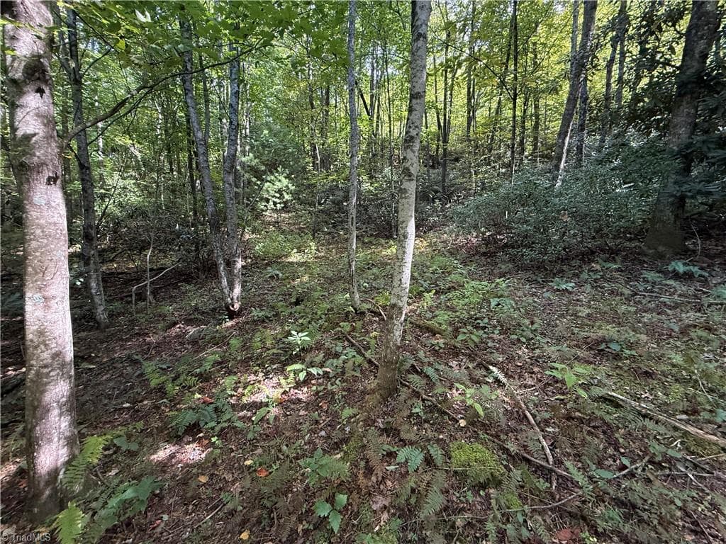 Single Family Residence at TBD Casey Mountain Road, Purlear NC 28665, Purlear, photo 20 of 22
