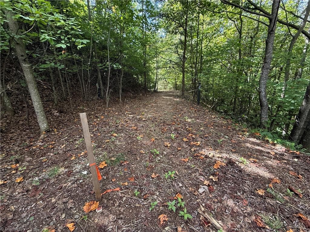 Single Family Residence at TBD Casey Mountain Road, Purlear NC 28665, Purlear, photo 9 of 22
