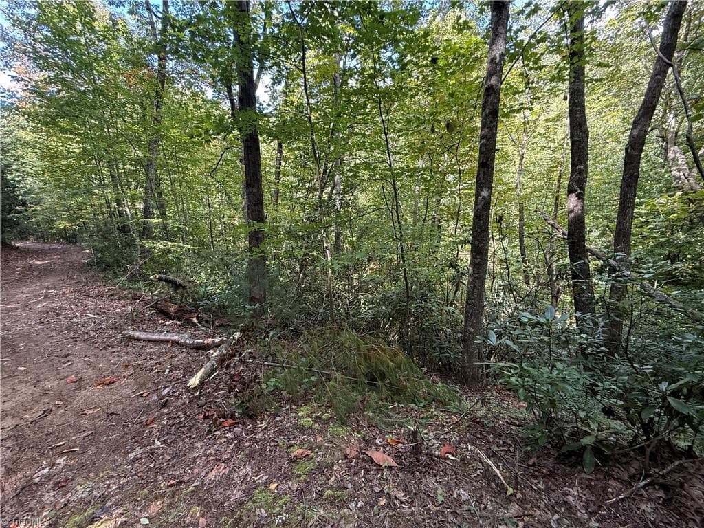 Single Family Residence at TBD Casey Mountain Road, Purlear NC 28665, Purlear, photo 14 of 22