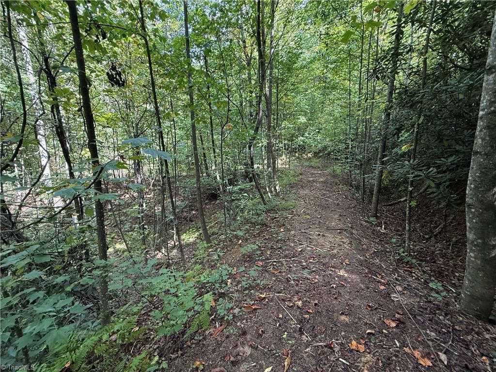 Single Family Residence at TBD Casey Mountain Road, Purlear NC 28665, Purlear, photo 15 of 22