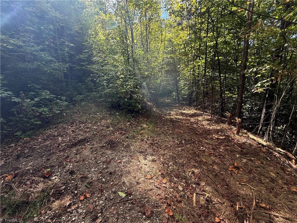 Single Family Residence at TBD Casey Mountain Road, Purlear NC 28665, Purlear, photo 11 of 22