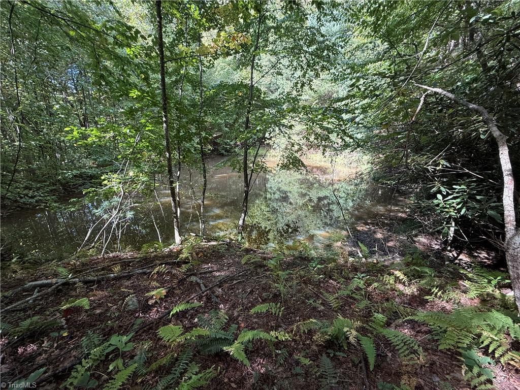 Single Family Residence at TBD Casey Mountain Road, Purlear NC 28665, Purlear, photo 19 of 22