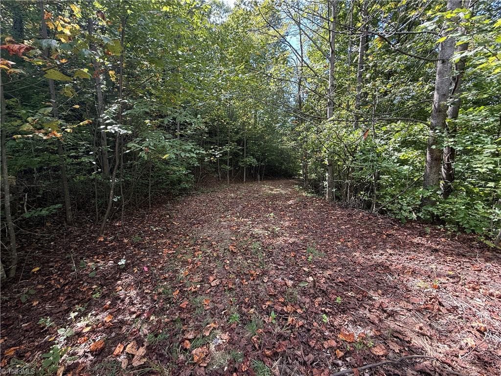Single Family Residence at TBD Casey Mountain Road, Purlear NC 28665, Purlear, photo 8 of 22