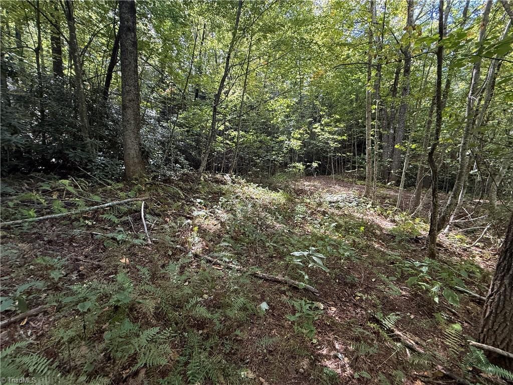 Single Family Residence at TBD Casey Mountain Road, Purlear NC 28665, Purlear, photo 21 of 22