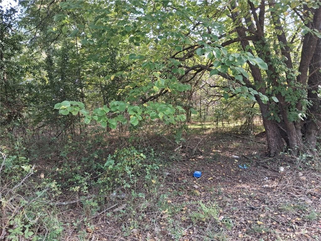 200 Oakland Avenue, Eden NC 27288