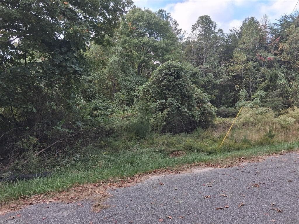 0 Grogan Street, Eden NC 27288