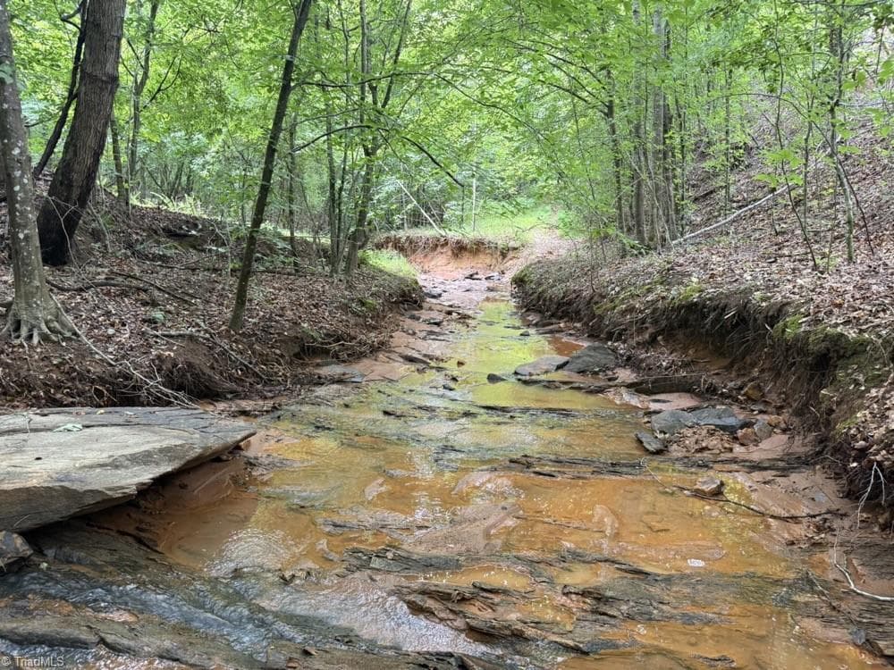 Unimproved Land at 0 Mountain View Road, Germanton NC 27019, Germanton, photo 17 of 21